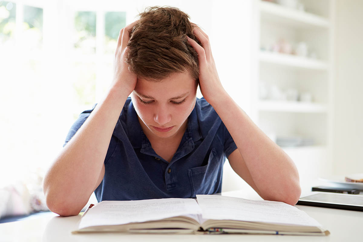 Signs You Should Seek an Education Program for a Child with ASD a child would benefit from an education program for autism